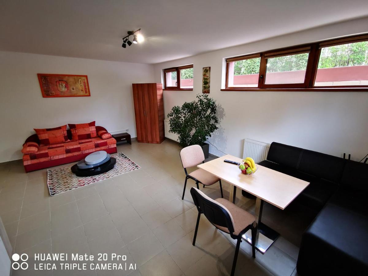 Marasti 1 Apartament *